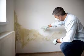 Best Environmental Consulting for Mold Prevention  in Grayson, CA